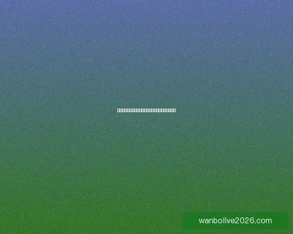 世界杯竞猜游戏全新玩法规则详解与参与攻略全面指南