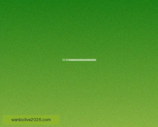 2026年世界杯完整赛程安排与各大赛事亮点全面解析