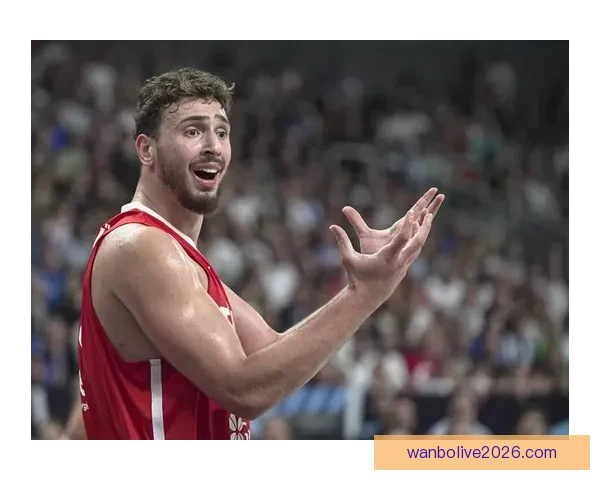 NBA副总裁透露欧洲联赛吸引众多投资者争夺永久球队席位