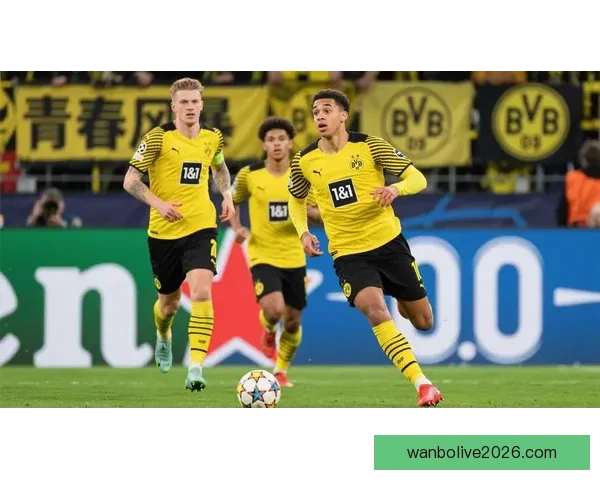 世界杯竞猜游戏全面攻略 提升胜算的策略与技巧解析